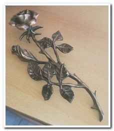 Rose 1