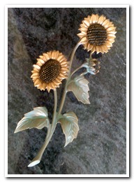 Sonnenblume